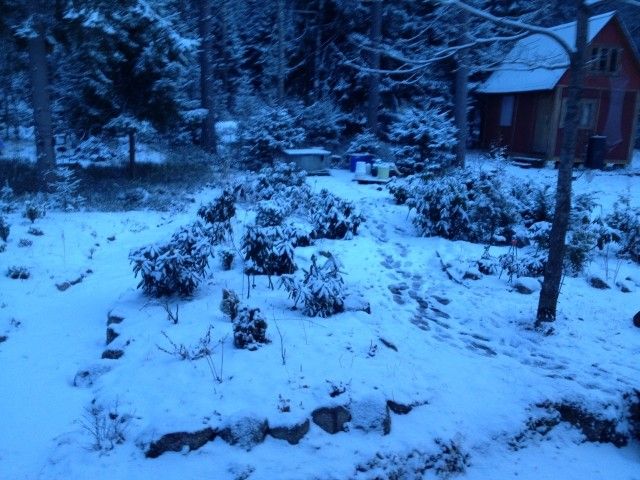 IMG 1702 1
